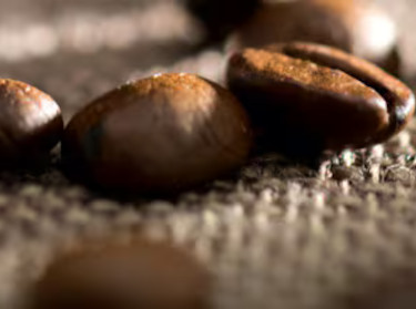 Organic coffee beans